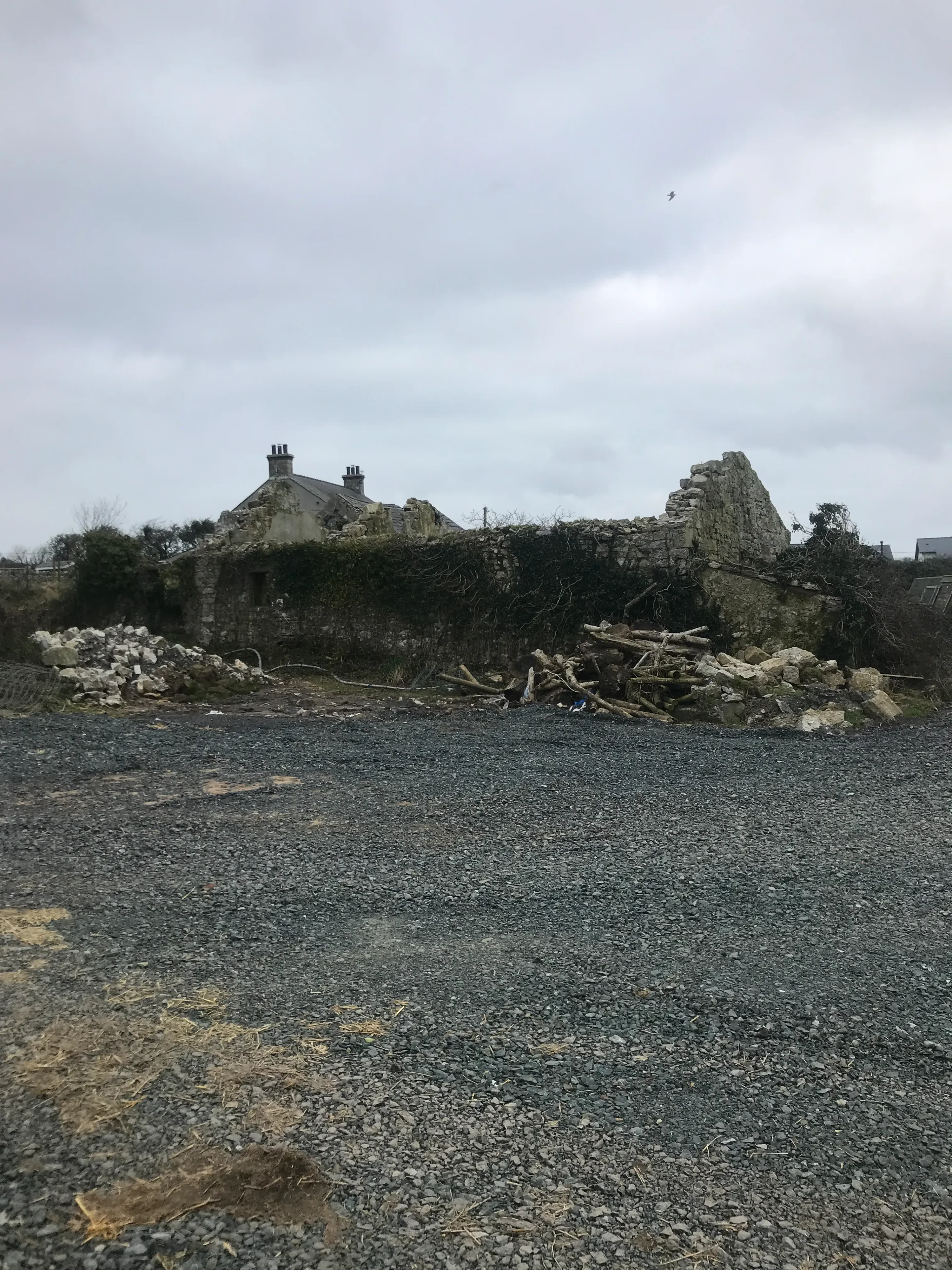 Ruin Restoration